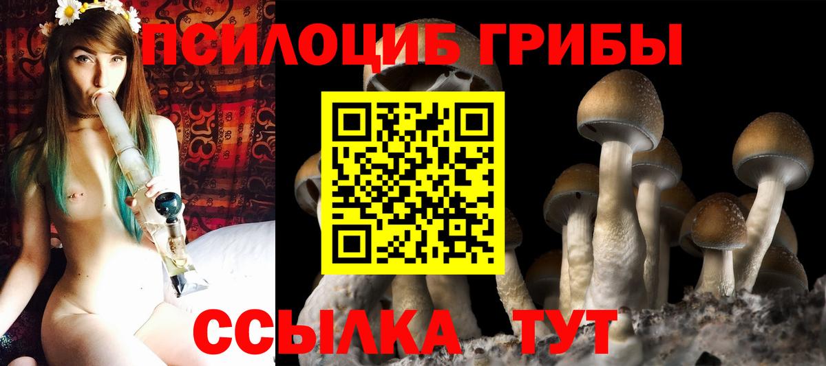 Энгельс  Галлюциногенные грибы Magic Shrooms  Вход с VPN 
