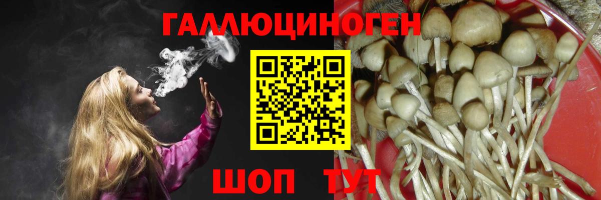 Галлюциногенные грибы Magic Shrooms Энгельс